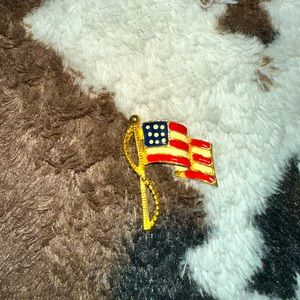 An American flag pin.